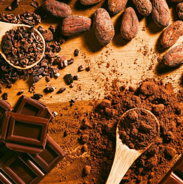 Chocolate Bliss